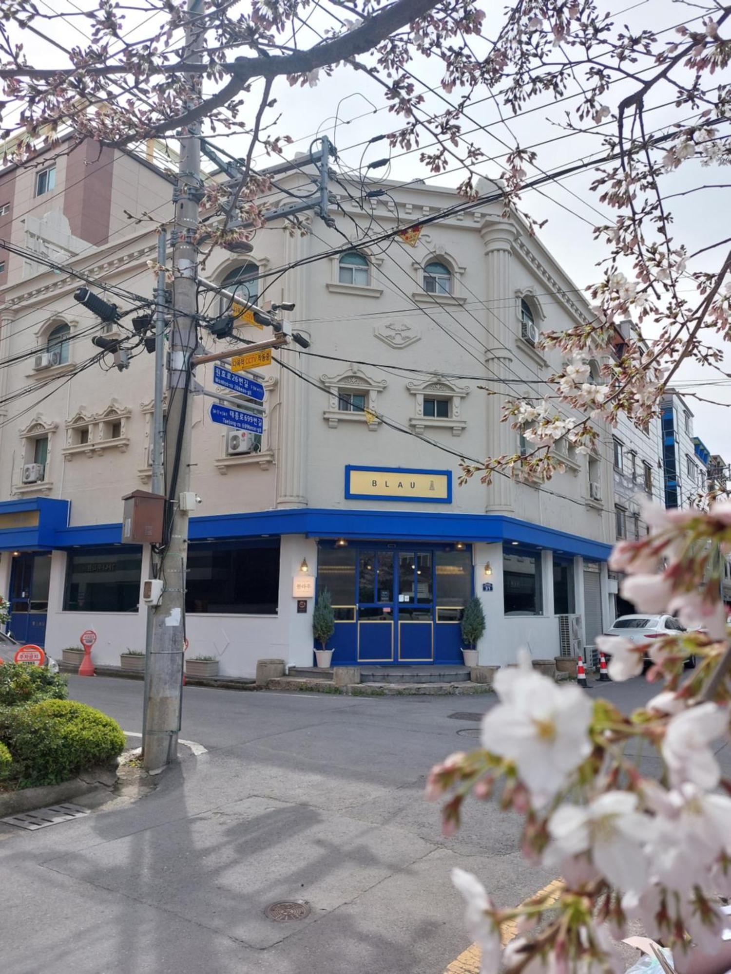 Blau Guesthouse كَونتو المظهر الخارجي الصورة